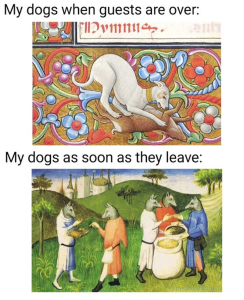 Stupid Bar Memes 010424meme2