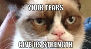 Stupid Bar Memes 015sbestsGrumpysCatsmemes