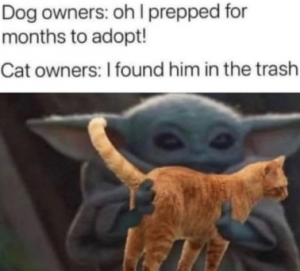 Stupid Bar Memes 064ea96c60f0d8fe
