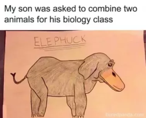 Stupid Bar Memes 0f393b3a2cb2daa4