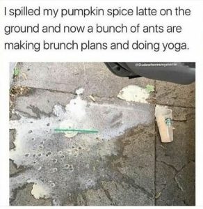 Stupid Bar Memes 0f6f6df8344f77ce