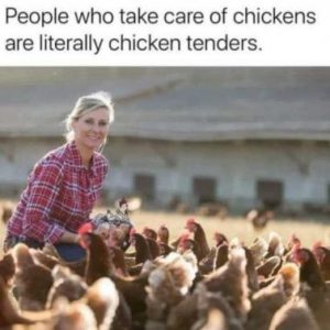 Stupid Bar Memes 11cf0213a12699c2
