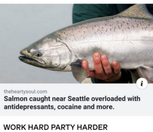 Stupid Bar Memes 170424meme15s618x536