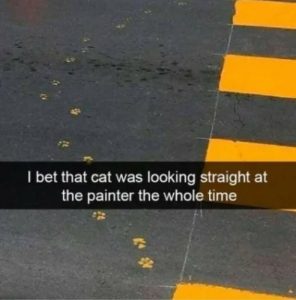 Stupid Bar Memes 1f0c3c37dac404e3