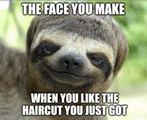 Stupid Bar Memes 267c57c20741cb57