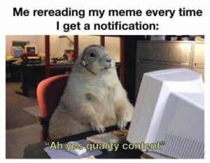 Stupid Bar Memes 26aa4f2ab4df3244