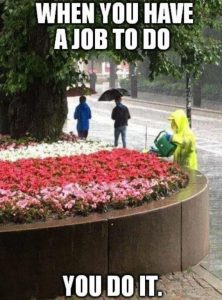 Stupid Bar Memes 29163fa4b11237c1