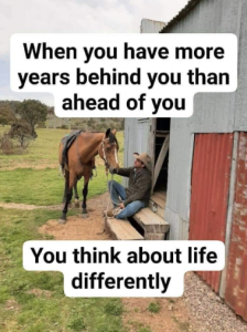 Stupid Bar Memes 299a48712df0c239