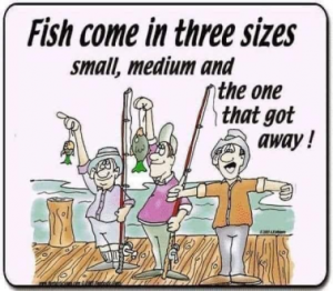 Stupid Bar Memes 2ab22a975fa89931