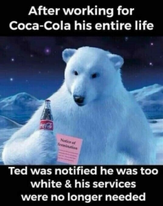 Stupid Bar Memes 2ccff9f0c95d39ca