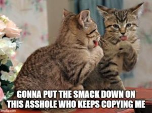 Stupid Bar Memes 2e0e5f24967b4e8d