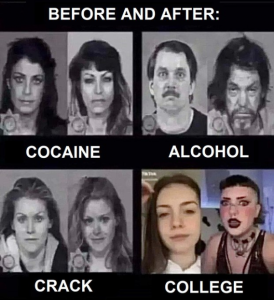 Stupid Bar Memes 2ee798809515a2af