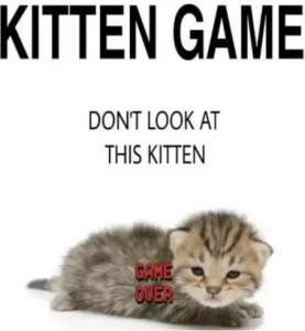 Stupid Bar Memes 3022548ecef6f86d