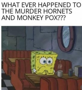 Stupid Bar Memes 30edb8d75b21da00