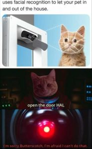 Stupid Bar Memes 373e8c35e7352f2d