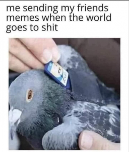 Stupid Bar Memes 3a0cc4a890d73200