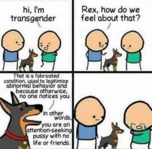 Stupid Bar Memes 3bd2c50f404332bf
