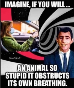 Stupid Bar Memes 43d85e86d4ec9580