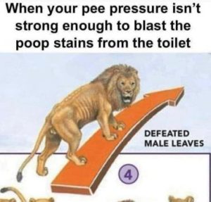 Stupid Bar Memes 46a7319846acf20c