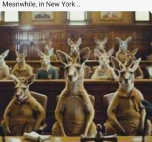 Stupid Bar Memes 4aec6e5303ef52f8