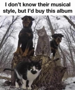 Stupid Bar Memes 4bd7e04d4b2b6111