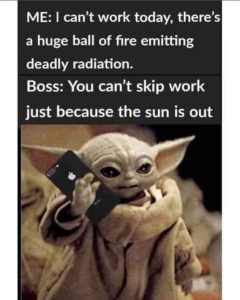 Stupid Bar Memes 4bf2145b699c4dc2