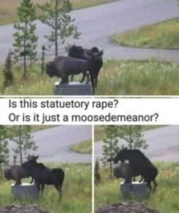 Stupid Bar Memes 507a12cee7f12ecc