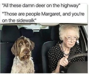 Stupid Bar Memes 5264086f63e36b59