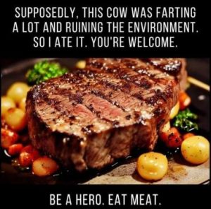 Stupid Bar Memes 5682f8b2c5fa59aa