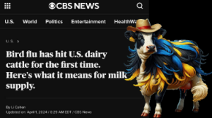 Stupid Bar Memes 59566f2ff182dc45