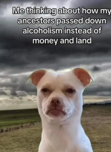 Stupid Bar Memes 5NUC5ws