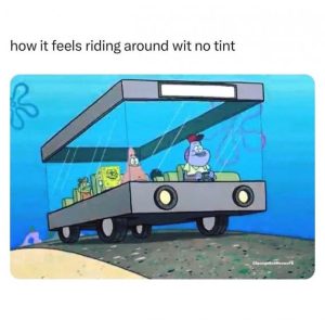 Stupid Bar Memes 5ca44ff93833ac66