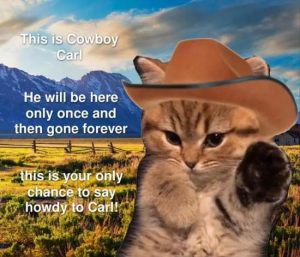 Stupid Bar Memes 5vAgmjP