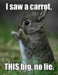 Stupid Bar Memes 6123af508d7c3268