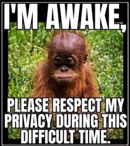 Stupid Bar Memes 6158ac0b40a57b2c