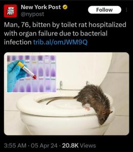 Stupid Bar Memes 617b240ef9115e9e