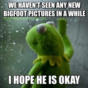 Stupid Bar Memes 61b60115ab459f80