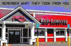 Stupid Bar Memes 62803d84847dad5b