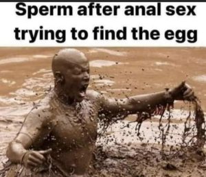Stupid Bar Memes 63fd62d11adb04e1