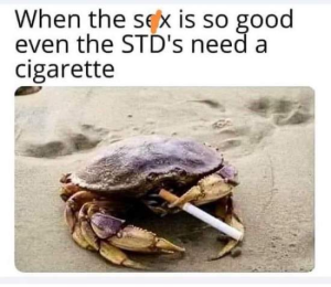 Stupid Bar Memes 644f9506s818ds4efcs8133s2d5f136f3e50