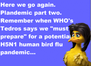 Stupid Bar Memes 6a59a0783106f7ce