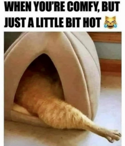 Stupid Bar Memes 6f6c01c87a824a57
