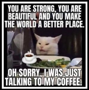 Stupid Bar Memes 728d6df0cbb9a7b3
