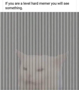 Stupid Bar Memes 7e1b9488c2bc9496