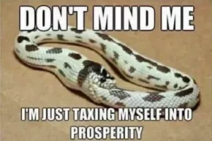 Stupid Bar Memes 85d613262985600b
