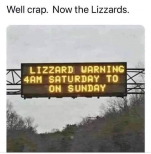 Stupid Bar Memes 8962dfe173383998