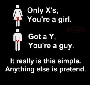 Stupid Bar Memes 89e644595db2907e