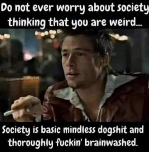Stupid Bar Memes 8a3fd04f9da3369b