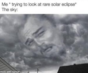 Stupid Bar Memes 8d544d2a5677388b