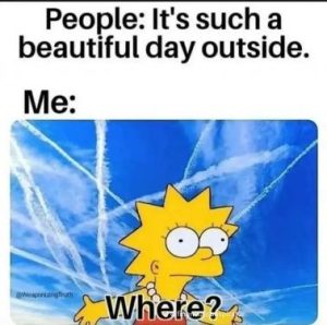 Stupid Bar Memes 8e46f8b9a4f75c0b